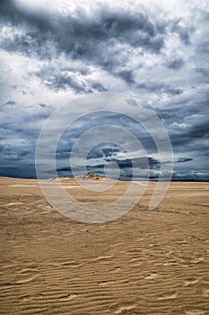 Beautiful scenery of moving sand dunes