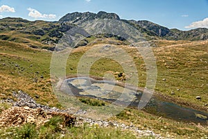 Beautiful scenery at National Park Durmitor, Montenegro