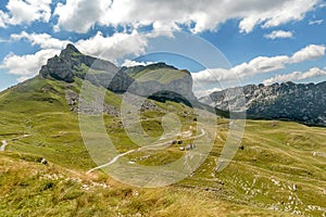 Beautiful scenery at National Park Durmitor, Montenegro