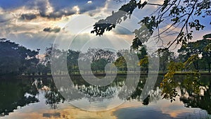 The beautiful scenery of the outdoor natural pond in the botanic garden park in the sunny day.