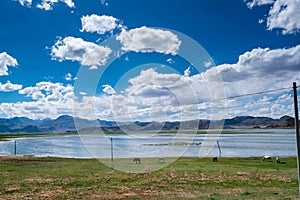 Beautiful scenery of Pangong Tso lake with  blue sky  white clouds in China side