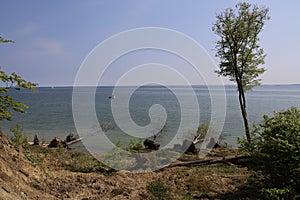 Beautiful scenery of the peaceful sea with trees on the coast in Trelde Naes, Fredericia photo