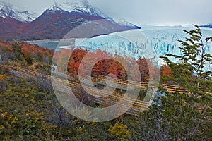 Beautiful scenery of Perito Moreno glacier and colorful autumn trees in the morning sunrise Argentina