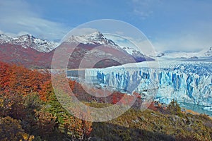 Beautiful scenery of Perito Moreno glacier and colorful autumn trees in the morning sunrise Argentina
