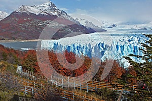 Beautiful scenery of Perito Moreno glacier and colorful autumn trees in the morning sunrise Argentina