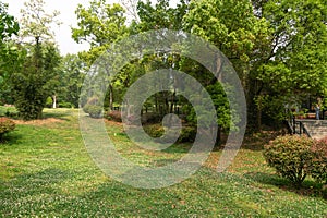 Beautiful scenery in public park with green grass field