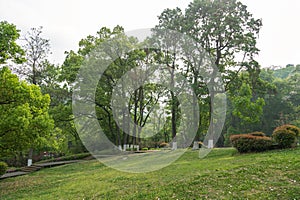 Beautiful scenery in public park with green grass field