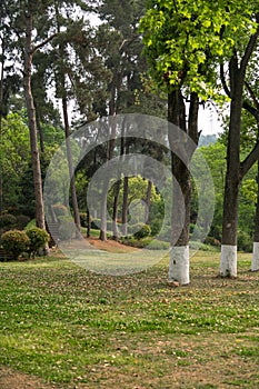 Beautiful scenery in public park with green grass field