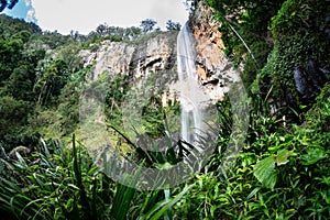 Beautiful scenery of Purling Brook falls, waterfall in Springbrook National Park, lush, rain forest