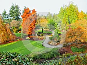 Beautiful Scenery At Q.E. Park Garden In Autumn 2018