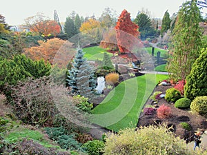 Beautiful Scenery At Q.E. Park Garden In Autumn 2018