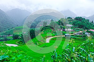 Beautiful scenery of the rice fields of Cat cat Village