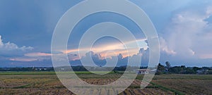 Beautiful scenery of rice paddy field under a cloudy sky in Nueva Ecija, Philippines photo