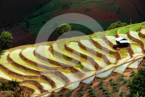 Beautiful scenery of rice terraces at Mae Chaem district, Chiang Mai province in northern Thailand