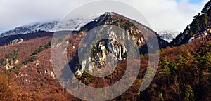 Beautiful scenery of rocky mountains with trees with a foggy sky background