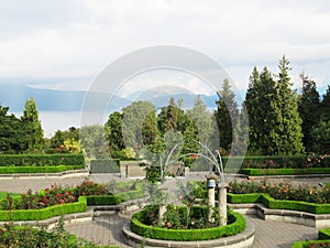 Beautiful Scenery Of Rose Garden On Cloudy Sky Background In Vancouver