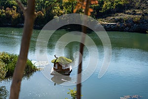 A beautiful scenery of small house in a lake in Golden park (Zlaten park) in Lukovit, Bulgaria. Duck swim in