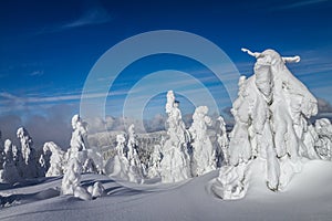 Beautiful scenery of the snowy winter landscape