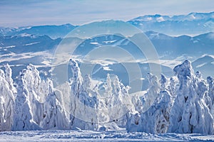 Krásné scenérie zasněžené zimní krajiny