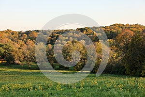 The beautiful scenery of Stroud Preserve before sunset in autumn, West Chester, Pennsylvania, USA