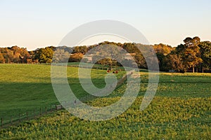 The beautiful scenery of Stroud Preserve before sunset in autumn, West Chester, Pennsylvania, USA