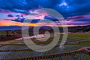 The beautiful scenery of the terraced rice fields at Ban Pa Pong Piang in Chiang mai, Thailand