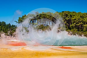 Beautiful scenery of thermal land, Rotorua, North Island,  New Zealand