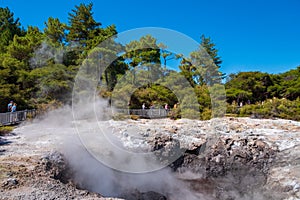 Beautiful scenery of thermal land, Rotorua, North Island,  New Zealand