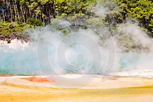 Beautiful scenery of thermal land, Rotorua, North Island,  New Zealand