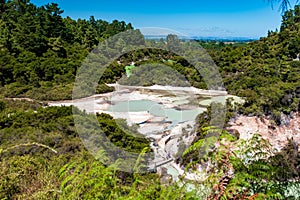 Beautiful scenery of thermal land, Rotorua, North Island,  New Zealand