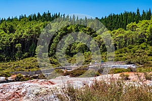 Beautiful scenery of thermal land, Rotorua, North Island,  New Zealand