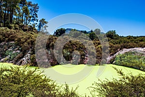 Beautiful scenery of thermal land, Rotorua, North Island,  New Zealand