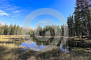 A beautiful scenery on Tioga Road, Yosemite National Park