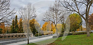 Beautiful scenery of a tree-lined road  in autumn