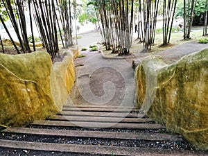 Beautiful scenery of walking path landscapes design at Botanical Garden Putrajaya. The famous recreational park in Putrajaya