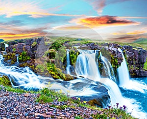 Beautiful scenery with a waterfall Kirkjufell and yellow flowers at dawn in Iceland. Exotic countries. Amazing places. Popular