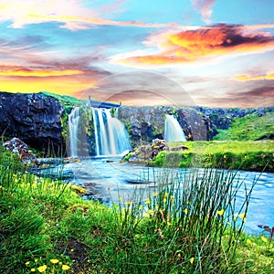 Beautiful scenery with a waterfall Kirkjufell and yellow flowers at dawn in Iceland. Exotic countries. Amazing places. Popular