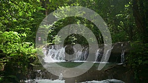 Beautiful scenery of waterfall surrounded by green vegetation under morning sunlight in rainforest.