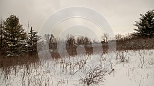 Beautiful scenery of a winter landscape with a lot of bare trees