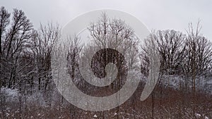 Beautiful scenery of a winter landscape with a lot of bare trees