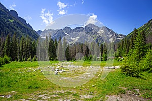 Beautiful scenery of Wlosienica meadow in Tatra mountain