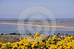 Beautiful scenic aerial-like bright view of yellow gorse Ulex, Irish sea, beach, Dublin bay, house roofs seen from Howth, Dublin