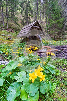 Krásna scenéria jazera Blajzloch, Slovensko