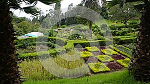 Beautiful scenic garden of Chettiar park,Kodaikanal