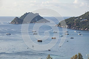 Beautiful scenic high angle view of koh tao and koh nangyuan in