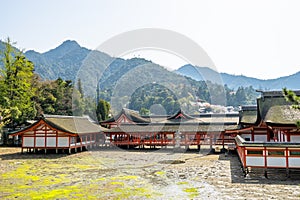 Beautiful scenic of Itsukushima shrine with mount Misen behind in Miyajima Island