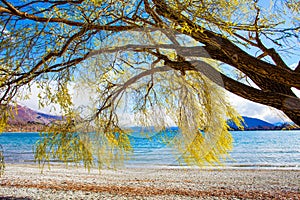 Beautiful scenic of lake wanaka southland new zealand