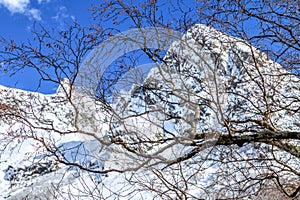 Beautiful scenic landscape of snow covered Caucasus mountain peaks on sunny day at spring with blue sky and bare tree branches on