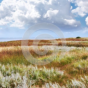 Beautiful scenic landscape view of a lush green grassy meadow with white fluffy clouds in a blue sky. Cloudscape of a