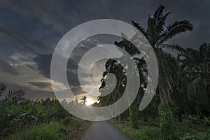 Beautiful scenic sunrise along the asphalt road